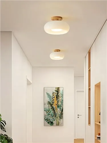 Modern Minimalist Ceiling Light Log Glass Cloakroom Balcony Corridor view 3