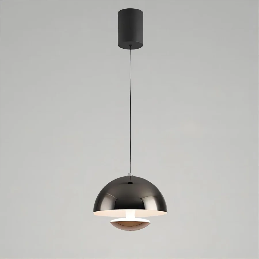 Black 1-Light Iron Pendant view 1