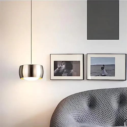 Chrome 1-Light Iron Pendant view 3