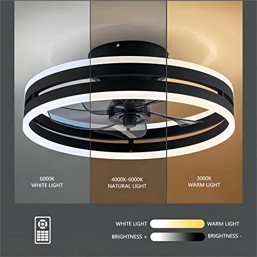Ceiling Fan with Light, 19.7 Inch Ceiling Fan Light view 3