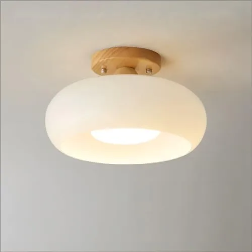 Modern Minimalist Ceiling Light Log Glass Cloakroom Balcony Corridor view 1
