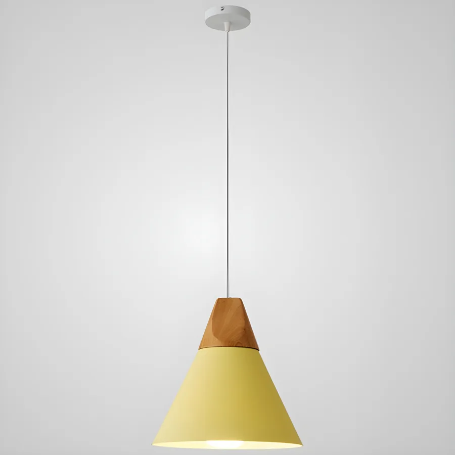 Black 1-Light Aluminum Cone view 1