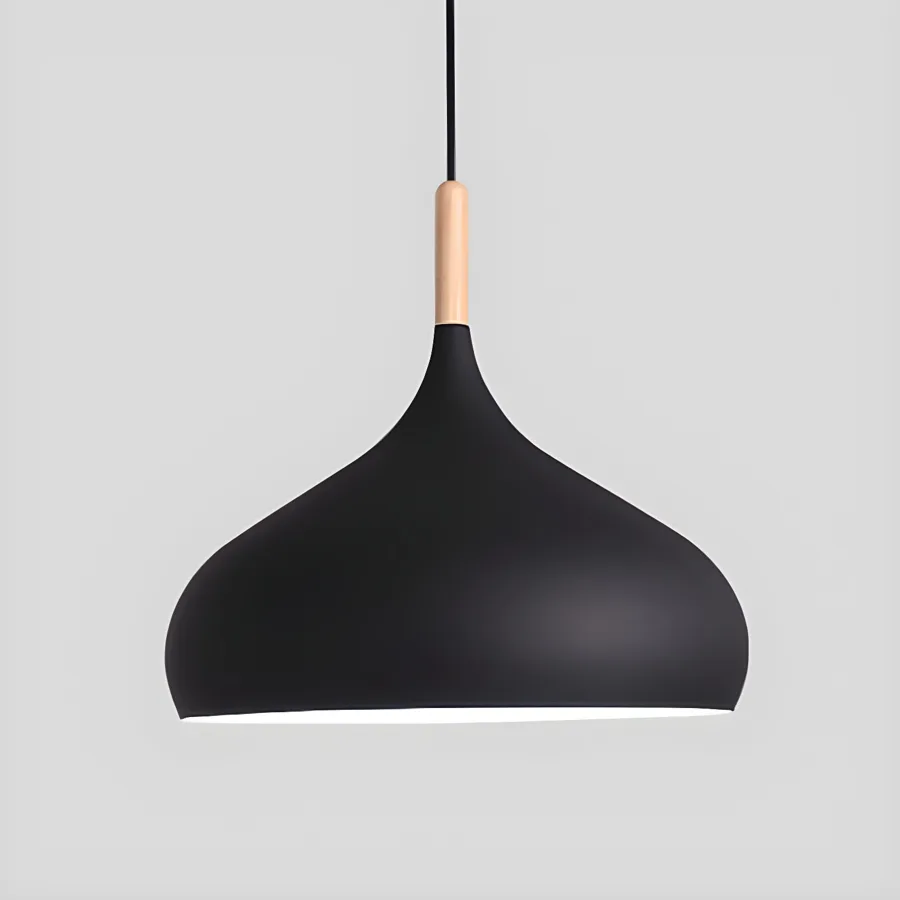 Black 1-Light Aluminum Dome view 2
