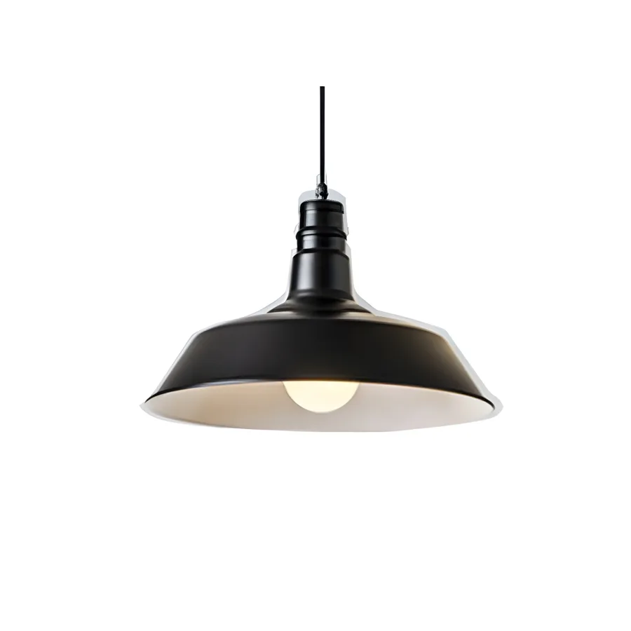 Black 1-Light Iron Domed Lid view 1
