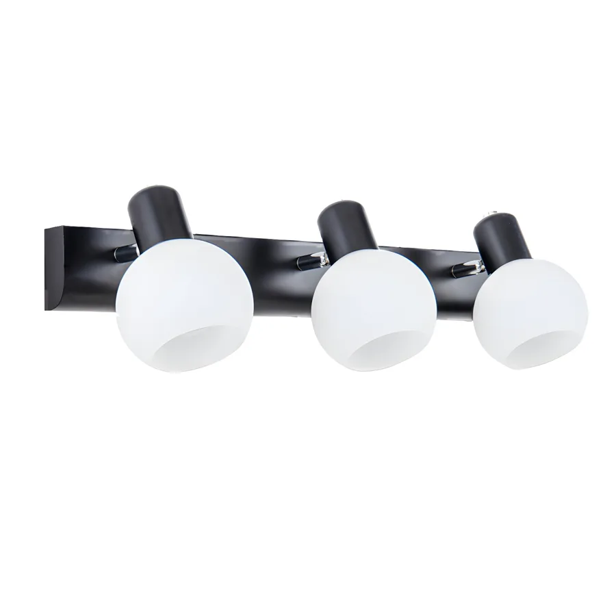 Black 2-Light Glass Globe view 2
