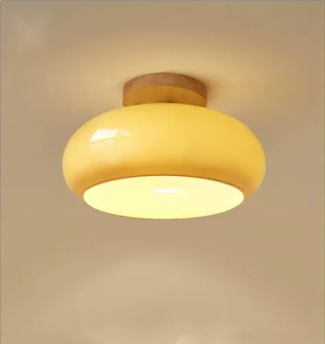 Modern Minimalist Ceiling Light Log Glass Cloakroom Balcony Corridor