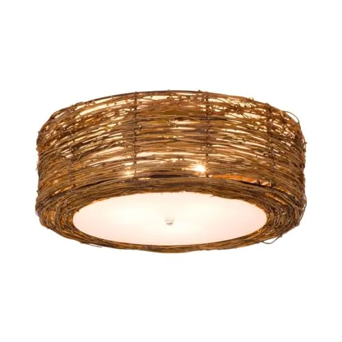 Brown Close to Ceiling