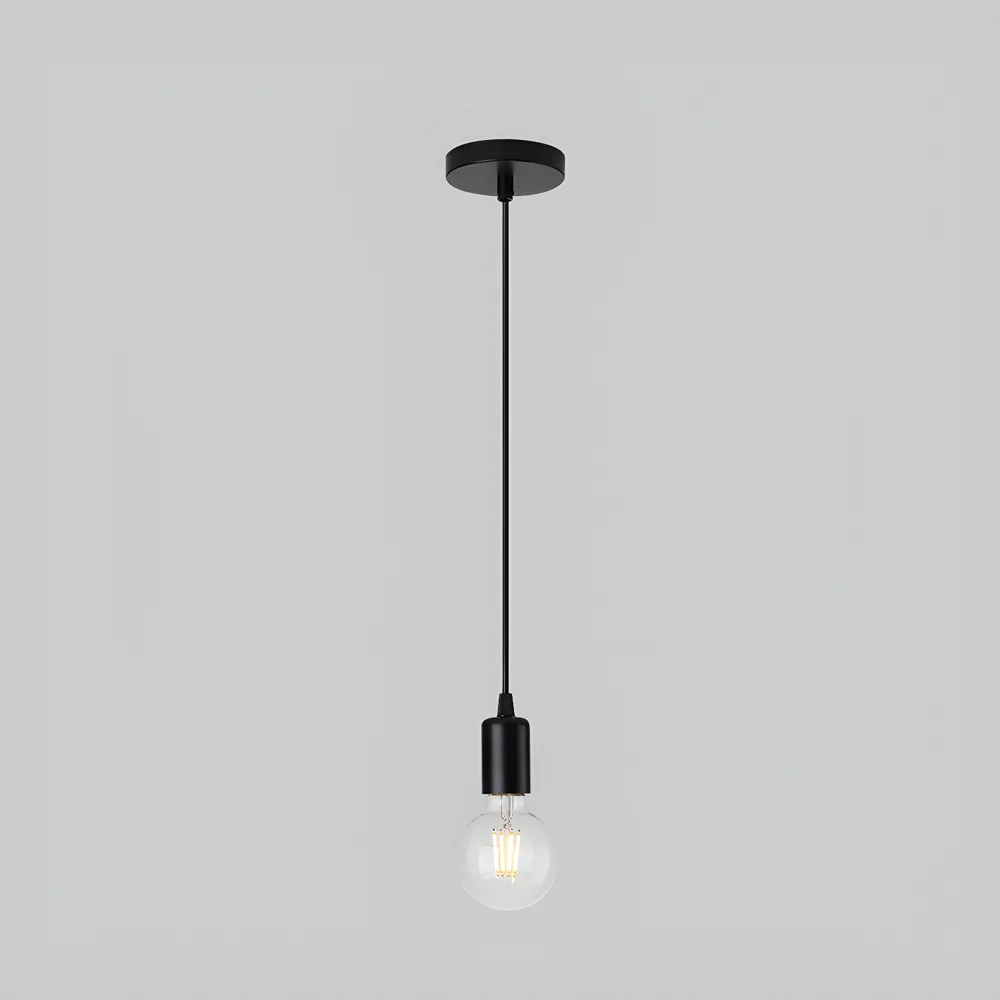Black 1-Light Globe