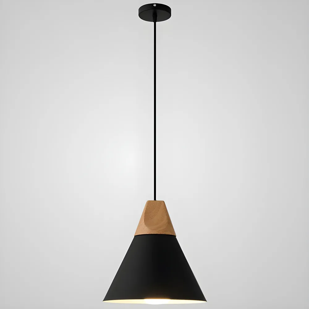 Black 1-Light Aluminum Cone