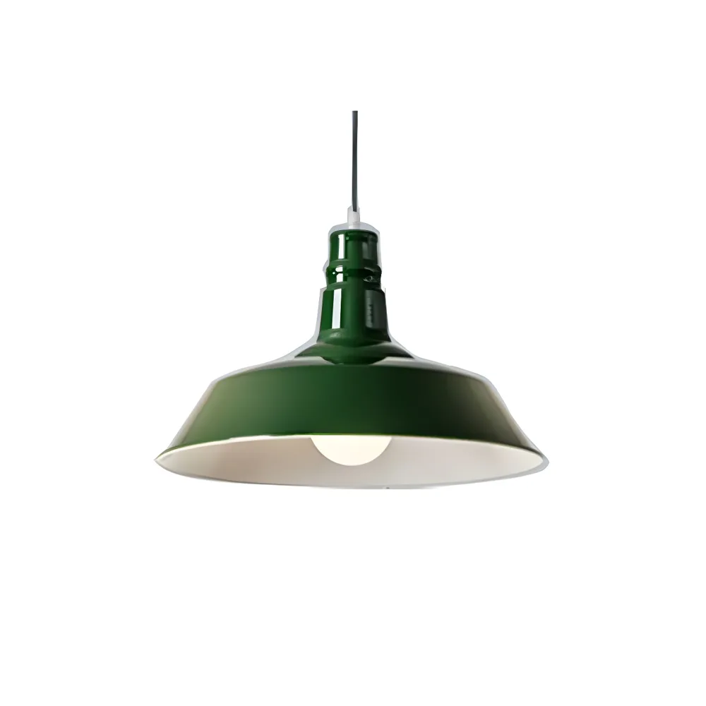 Black 1-Light Iron Domed Lid
