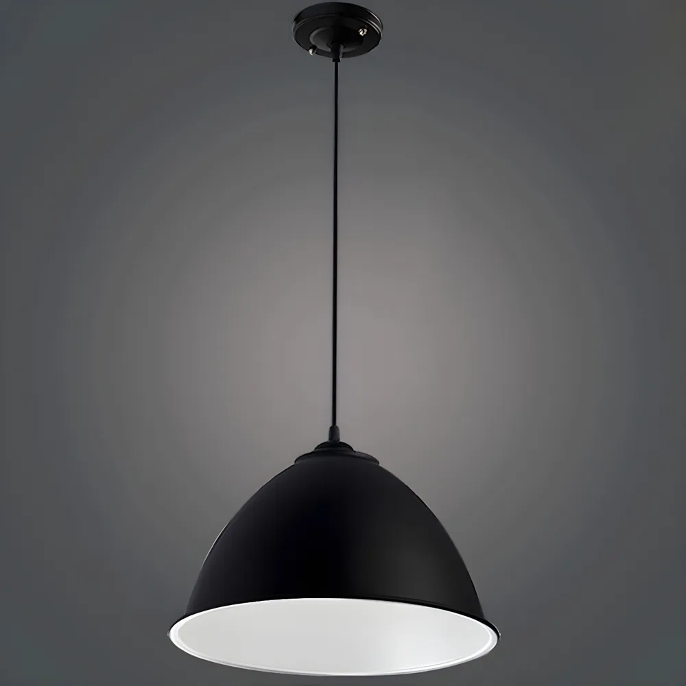 Black 1-Light Aluminum Dome