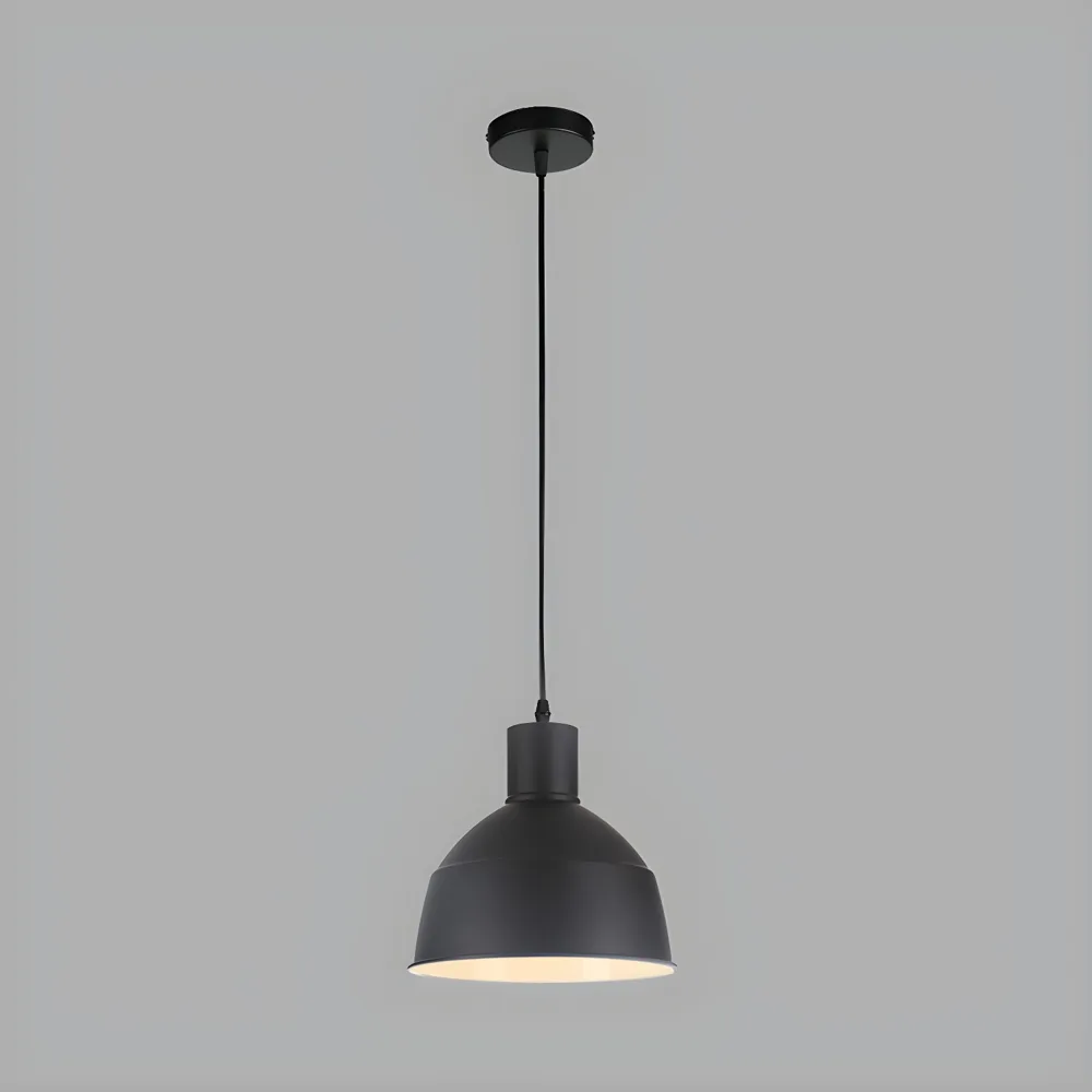 Black 1-Light Metal Dome