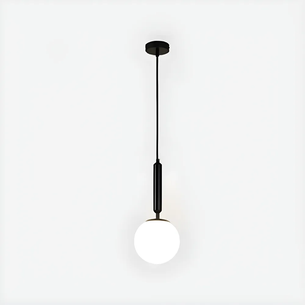 Black 1-Light Glass Globe