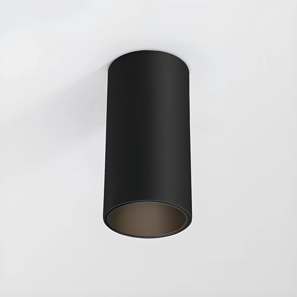 Black 1-Light Aluminum Flush Mount