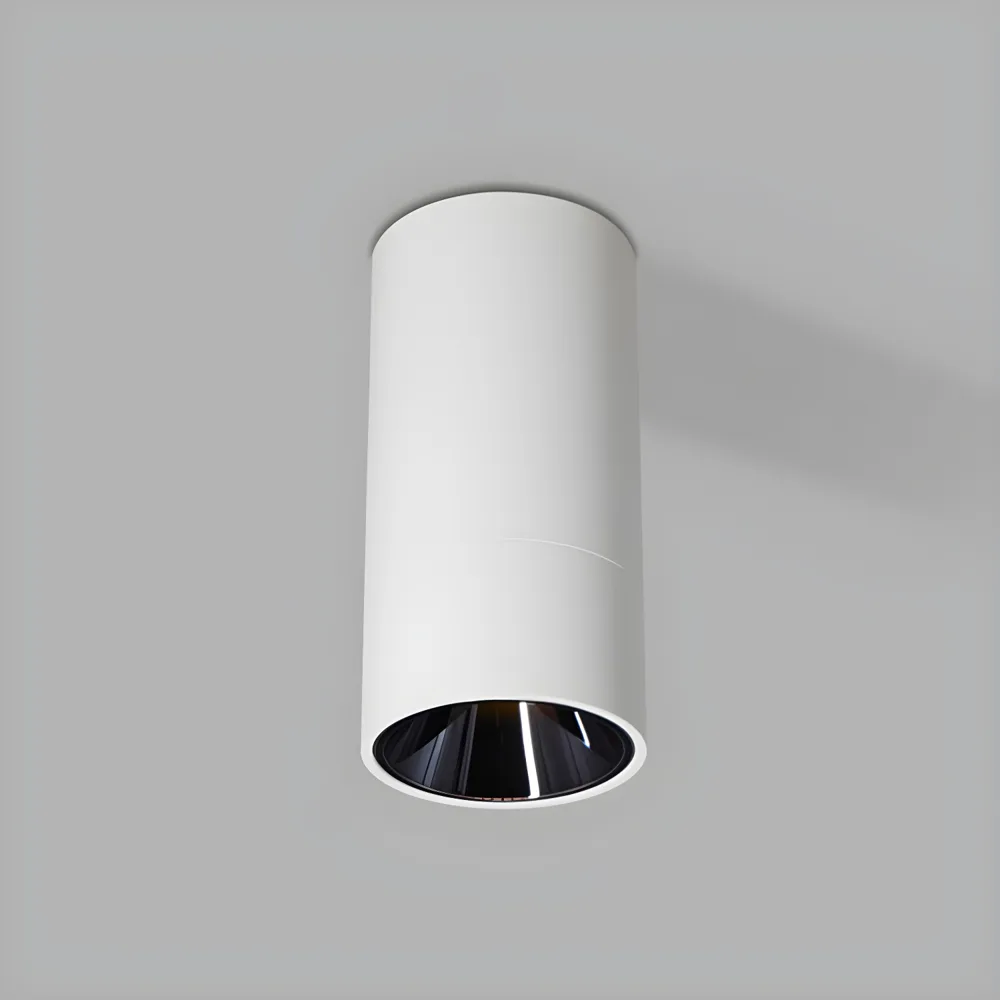 Black 1-Light Aluminum Flush Mount