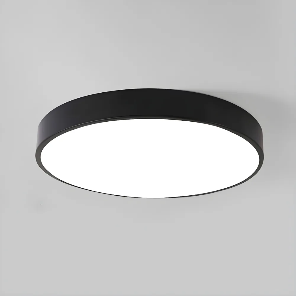 Black 1-Light Acrylic Flush Mount