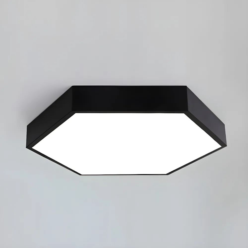 Black 1-Light Acrylic Flush Mount
