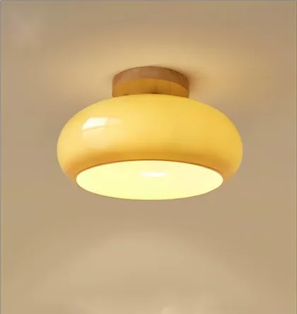 Modern Minimalist Ceiling Light Log Glass Cloakroom Balcony Corridor