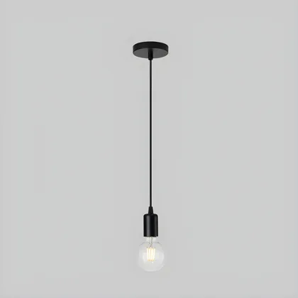 Black 1-Light Globe