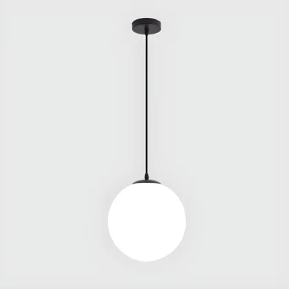 Black 1-Light Plastic Shaded