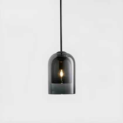 Smoke Gray 1-Light Glass Dome