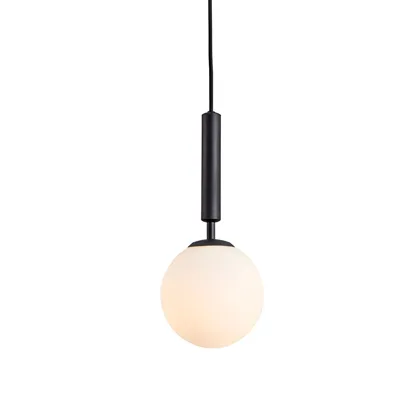 Black 1-Light Glass Globe