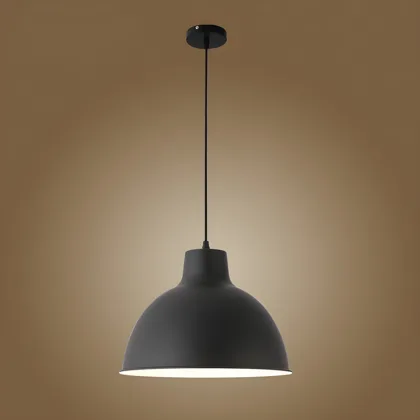 Black 1-Light Aluminum Dome
