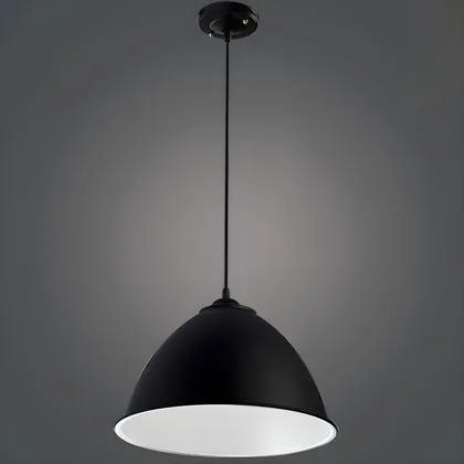 Black 1-Light Aluminum Dome