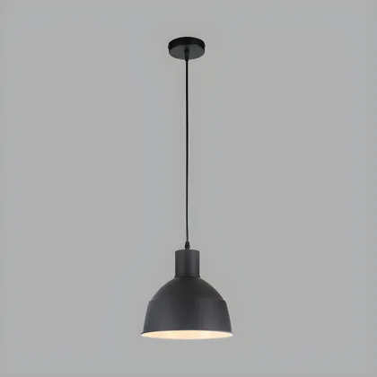 Black 1-Light Metal Dome