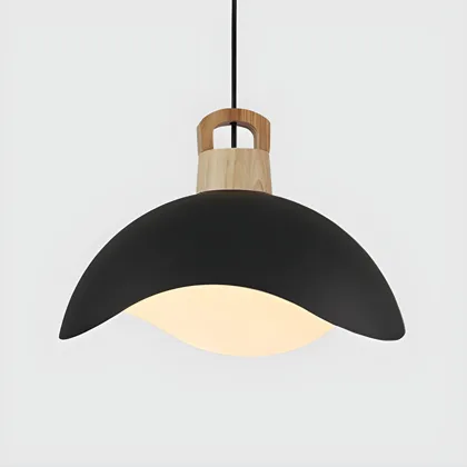 Black 1-Light Aluminum Domed Lid