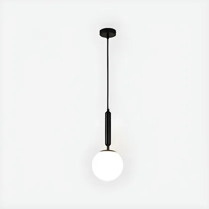 Black 1-Light Glass Globe