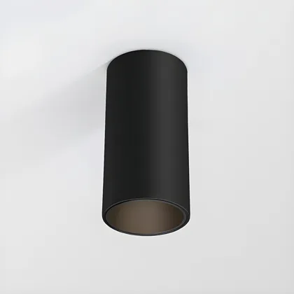 Black 1-Light Aluminum Flush Mount