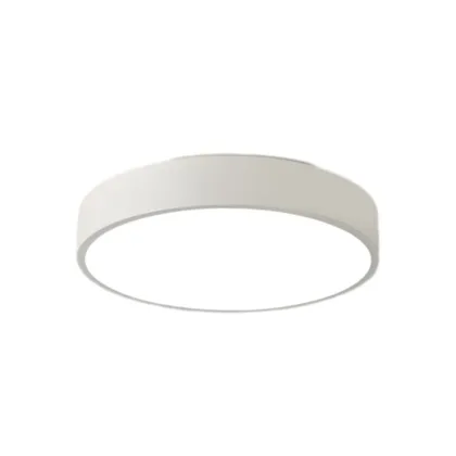 White 1-Light Acrylic Flush Mount