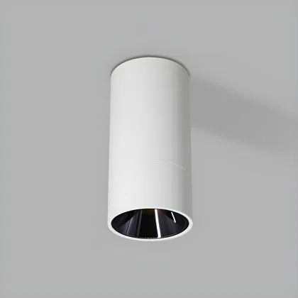 Black 1-Light Aluminum Flush Mount