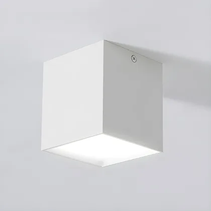 Black 1-Light Acrylic Flush Mount