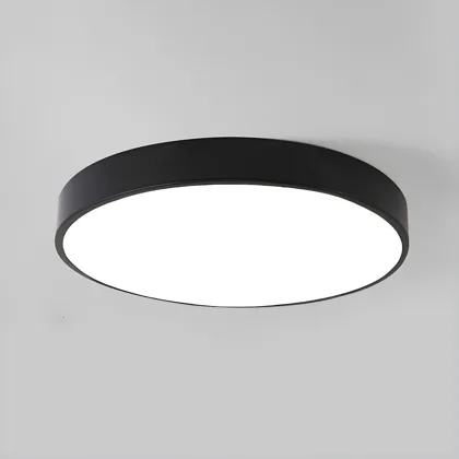 Black 1-Light Acrylic Flush Mount