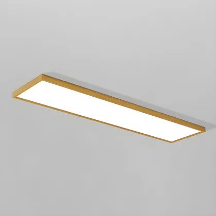 Black 1-Light Acrylic Flush Mount