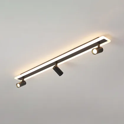 Black 2-Light Iron Semi-Flush Mount